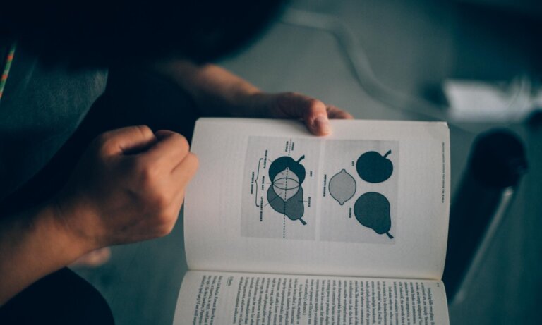 Zine到底是什麼？做出「世界最美的書」，獨立出版單位nos:books為你解惑